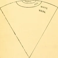 Picture 16 of 24 from Human nature, or, Men and women exposed : treating of every characteristic, both good and bad, of the various types of man and woman as they exist, and as manifested in every-day life, giving "the truth, the whole truth, and nothing but the truth" (1901), leaf 117