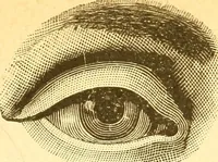 Picture 17 of 24 from Human nature, or, Men and women exposed : treating of every characteristic, both good and bad, of the various types of man and woman as they exist, and as manifested in every-day life, giving "the truth, the whole truth, and nothing but the truth" (1901), leaf 118