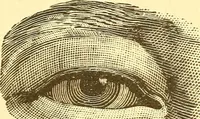 An illustration from Human nature, or, Men and women exposed : treating of every characteristic, both good and bad, of the various types of man and woman as they exist, and as manifested in every-day life, giving "the truth, the whole truth, and nothing but the truth" (1901)