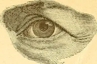 An illustration from Human nature, or, Men and women exposed : treating of every characteristic, both good and bad, of the various types of man and woman as they exist, and as manifested in every-day life, giving "the truth, the whole truth, and nothing but the truth" (1901)