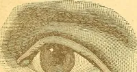 Picture 3 of 24 from Human nature, or, Men and women exposed : treating of every characteristic, both good and bad, of the various types of man and woman as they exist, and as manifested in every-day life, giving "the truth, the whole truth, and nothing but the truth" (1901), leaf 29