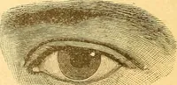 Picture 4 of 24 from Human nature, or, Men and women exposed : treating of every characteristic, both good and bad, of the various types of man and woman as they exist, and as manifested in every-day life, giving "the truth, the whole truth, and nothing but the truth" (1901), leaf 29