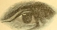 An illustration from Human nature, or, Men and women exposed : treating of every characteristic, both good and bad, of the various types of man and woman as they exist, and as manifested in every-day life, giving "the truth, the whole truth, and nothing but the truth" (1901)