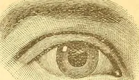 Picture 8 of 24 from Human nature, or, Men and women exposed : treating of every characteristic, both good and bad, of the various types of man and woman as they exist, and as manifested in every-day life, giving "the truth, the whole truth, and nothing but the truth" (1901), leaf 36