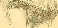 An illustration from Human nature, or, Men and women exposed : treating of every characteristic, both good and bad, of the various types of man and woman as they exist, and as manifested in every-day life, giving "the truth, the whole truth, and nothing but the truth" (1901)