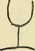 An illustration from Human personality and its survival of bodily death (1903)