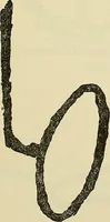 Picture 6 of 35 from Human personality and its survival of bodily death (1903), leaf 656