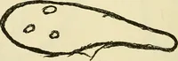 Picture 10 of 35 from Human personality and its survival of bodily death (1903), leaf 657