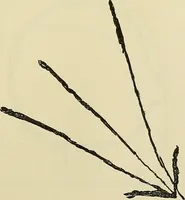 Picture 16 of 35 from Human personality and its survival of bodily death (1903), leaf 660
