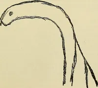 Picture 20 of 35 from Human personality and its survival of bodily death (1903), leaf 662