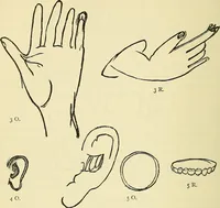 An illustration from Human personality and its survival of bodily death (1903)