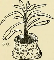 Picture 25 of 35 from Human personality and its survival of bodily death (1903), leaf 667