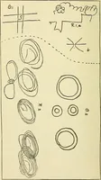 Picture 32 of 35 from Human personality and its survival of bodily death (1903), leaf 675