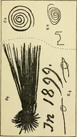 Picture 35 of 35 from Human personality and its survival of bodily death (1903), leaf 678