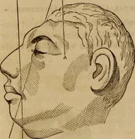 Picture 130 of 165 from Human science, or, Phrenology : its principles, proofs, faculties, organs, temperaments, combinations, conditions, teachings, philosophies, etc., etc. : as applied to health, its values, laws, functions, organs, means, preservation, restoration, etc. : mental philosophy, human and self improvement, civilization, home, country, commerce, rights, duties, ethics, etc. : God, His existence, attributes, laws, worship, natural theology, etc. : immortality, its evidences, conditions, relations to time, rewards, punishments, sin, faith, prayer, etc. : intellect, memory, juvenile and self education, literature, mental discipline, the senses, sciences, arts, avocations, a perfect life, etc., etc., etc. (1873), leaf 1001