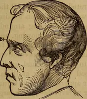 Picture 136 of 165 from Human science, or, Phrenology : its principles, proofs, faculties, organs, temperaments, combinations, conditions, teachings, philosophies, etc., etc. : as applied to health, its values, laws, functions, organs, means, preservation, restoration, etc. : mental philosophy, human and self improvement, civilization, home, country, commerce, rights, duties, ethics, etc. : God, His existence, attributes, laws, worship, natural theology, etc. : immortality, its evidences, conditions, relations to time, rewards, punishments, sin, faith, prayer, etc. : intellect, memory, juvenile and self education, literature, mental discipline, the senses, sciences, arts, avocations, a perfect life, etc., etc., etc. (1873), leaf 1018