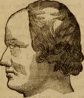 An illustration from Human science, or, Phrenology : its principles, proofs, faculties, organs, temperaments, combinations, conditions, teachings, philosophies, etc., etc. : as applied to health, its values, laws, functions, organs, means, preservation, restoration, etc. : mental philosophy, human and self improvement, civilization, home, country, commerce, rights, duties, ethics, etc. : God, His existence, attributes, laws, worship, natural theology, etc. : immortality, its evidences, conditions, relations to time, rewards, punishments, sin, faith, prayer, etc. : intellect, memory, juvenile and self education, literature, mental discipline, the senses, sciences, arts, avocations, a perfect life, etc., etc., etc. (1873)