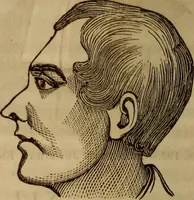 An illustration from Human science, or, Phrenology : its principles, proofs, faculties, organs, temperaments, combinations, conditions, teachings, philosophies, etc., etc. : as applied to health, its values, laws, functions, organs, means, preservation, restoration, etc. : mental philosophy, human and self improvement, civilization, home, country, commerce, rights, duties, ethics, etc. : God, His existence, attributes, laws, worship, natural theology, etc. : immortality, its evidences, conditions, relations to time, rewards, punishments, sin, faith, prayer, etc. : intellect, memory, juvenile and self education, literature, mental discipline, the senses, sciences, arts, avocations, a perfect life, etc., etc., etc. (1873)