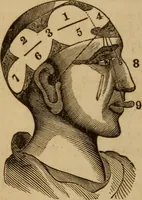 Picture 8 of 165 from Human science, or, Phrenology : its principles, proofs, faculties, organs, temperaments, combinations, conditions, teachings, philosophies, etc., etc. : as applied to health, its values, laws, functions, organs, means, preservation, restoration, etc. : mental philosophy, human and self improvement, civilization, home, country, commerce, rights, duties, ethics, etc. : God, His existence, attributes, laws, worship, natural theology, etc. : immortality, its evidences, conditions, relations to time, rewards, punishments, sin, faith, prayer, etc. : intellect, memory, juvenile and self education, literature, mental discipline, the senses, sciences, arts, avocations, a perfect life, etc., etc., etc. (1873), leaf 185