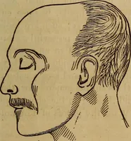 Picture 9 of 165 from Human science, or, Phrenology : its principles, proofs, faculties, organs, temperaments, combinations, conditions, teachings, philosophies, etc., etc. : as applied to health, its values, laws, functions, organs, means, preservation, restoration, etc. : mental philosophy, human and self improvement, civilization, home, country, commerce, rights, duties, ethics, etc. : God, His existence, attributes, laws, worship, natural theology, etc. : immortality, its evidences, conditions, relations to time, rewards, punishments, sin, faith, prayer, etc. : intellect, memory, juvenile and self education, literature, mental discipline, the senses, sciences, arts, avocations, a perfect life, etc., etc., etc. (1873), leaf 196