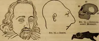 Picture 11 of 165 from Human science, or, Phrenology : its principles, proofs, faculties, organs, temperaments, combinations, conditions, teachings, philosophies, etc., etc. : as applied to health, its values, laws, functions, organs, means, preservation, restoration, etc. : mental philosophy, human and self improvement, civilization, home, country, commerce, rights, duties, ethics, etc. : God, His existence, attributes, laws, worship, natural theology, etc. : immortality, its evidences, conditions, relations to time, rewards, punishments, sin, faith, prayer, etc. : intellect, memory, juvenile and self education, literature, mental discipline, the senses, sciences, arts, avocations, a perfect life, etc., etc., etc. (1873), leaf 199
