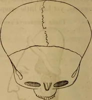 Picture 22 of 165 from Human science, or, Phrenology : its principles, proofs, faculties, organs, temperaments, combinations, conditions, teachings, philosophies, etc., etc. : as applied to health, its values, laws, functions, organs, means, preservation, restoration, etc. : mental philosophy, human and self improvement, civilization, home, country, commerce, rights, duties, ethics, etc. : God, His existence, attributes, laws, worship, natural theology, etc. : immortality, its evidences, conditions, relations to time, rewards, punishments, sin, faith, prayer, etc. : intellect, memory, juvenile and self education, literature, mental discipline, the senses, sciences, arts, avocations, a perfect life, etc., etc., etc. (1873), leaf 209