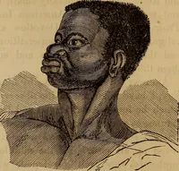 An illustration from Human science, or, Phrenology : its principles, proofs, faculties, organs, temperaments, combinations, conditions, teachings, philosophies, etc., etc. : as applied to health, its values, laws, functions, organs, means, preservation, restoration, etc. : mental philosophy, human and self improvement, civilization, home, country, commerce, rights, duties, ethics, etc. : God, His existence, attributes, laws, worship, natural theology, etc. : immortality, its evidences, conditions, relations to time, rewards, punishments, sin, faith, prayer, etc. : intellect, memory, juvenile and self education, literature, mental discipline, the senses, sciences, arts, avocations, a perfect life, etc., etc., etc. (1873)