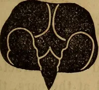 Picture 28 of 165 from Human science, or, Phrenology : its principles, proofs, faculties, organs, temperaments, combinations, conditions, teachings, philosophies, etc., etc. : as applied to health, its values, laws, functions, organs, means, preservation, restoration, etc. : mental philosophy, human and self improvement, civilization, home, country, commerce, rights, duties, ethics, etc. : God, His existence, attributes, laws, worship, natural theology, etc. : immortality, its evidences, conditions, relations to time, rewards, punishments, sin, faith, prayer, etc. : intellect, memory, juvenile and self education, literature, mental discipline, the senses, sciences, arts, avocations, a perfect life, etc., etc., etc. (1873), leaf 214