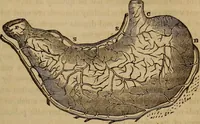 Picture 69 of 165 from Human science, or, Phrenology : its principles, proofs, faculties, organs, temperaments, combinations, conditions, teachings, philosophies, etc., etc. : as applied to health, its values, laws, functions, organs, means, preservation, restoration, etc. : mental philosophy, human and self improvement, civilization, home, country, commerce, rights, duties, ethics, etc. : God, His existence, attributes, laws, worship, natural theology, etc. : immortality, its evidences, conditions, relations to time, rewards, punishments, sin, faith, prayer, etc. : intellect, memory, juvenile and self education, literature, mental discipline, the senses, sciences, arts, avocations, a perfect life, etc., etc., etc. (1873), leaf 492