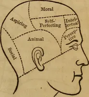 Picture 1 of 165 from Human science, or, Phrenology : its principles, proofs, faculties, organs, temperaments, combinations, conditions, teachings, philosophies, etc., etc. : as applied to health, its values, laws, functions, organs, means, preservation, restoration, etc. : mental philosophy, human and self improvement, civilization, home, country, commerce, rights, duties, ethics, etc. : God, His existence, attributes, laws, worship, natural theology, etc. : immortality, its evidences, conditions, relations to time, rewards, punishments, sin, faith, prayer, etc. : intellect, memory, juvenile and self education, literature, mental discipline, the senses, sciences, arts, avocations, a perfect life, etc., etc., etc. (1873), leaf 52