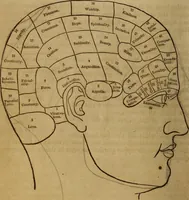 Picture 2 of 165 from Human science, or, Phrenology : its principles, proofs, faculties, organs, temperaments, combinations, conditions, teachings, philosophies, etc., etc. : as applied to health, its values, laws, functions, organs, means, preservation, restoration, etc. : mental philosophy, human and self improvement, civilization, home, country, commerce, rights, duties, ethics, etc. : God, His existence, attributes, laws, worship, natural theology, etc. : immortality, its evidences, conditions, relations to time, rewards, punishments, sin, faith, prayer, etc. : intellect, memory, juvenile and self education, literature, mental discipline, the senses, sciences, arts, avocations, a perfect life, etc., etc., etc. (1873), leaf 53