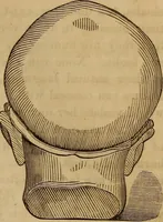 Picture 85 of 165 from Human science, or, Phrenology : its principles, proofs, faculties, organs, temperaments, combinations, conditions, teachings, philosophies, etc., etc. : as applied to health, its values, laws, functions, organs, means, preservation, restoration, etc. : mental philosophy, human and self improvement, civilization, home, country, commerce, rights, duties, ethics, etc. : God, His existence, attributes, laws, worship, natural theology, etc. : immortality, its evidences, conditions, relations to time, rewards, punishments, sin, faith, prayer, etc. : intellect, memory, juvenile and self education, literature, mental discipline, the senses, sciences, arts, avocations, a perfect life, etc., etc., etc. (1873), leaf 674