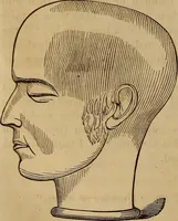 Picture 88 of 165 from Human science, or, Phrenology : its principles, proofs, faculties, organs, temperaments, combinations, conditions, teachings, philosophies, etc., etc. : as applied to health, its values, laws, functions, organs, means, preservation, restoration, etc. : mental philosophy, human and self improvement, civilization, home, country, commerce, rights, duties, ethics, etc. : God, His existence, attributes, laws, worship, natural theology, etc. : immortality, its evidences, conditions, relations to time, rewards, punishments, sin, faith, prayer, etc. : intellect, memory, juvenile and self education, literature, mental discipline, the senses, sciences, arts, avocations, a perfect life, etc., etc., etc. (1873), leaf 681