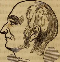 Picture 89 of 165 from Human science, or, Phrenology : its principles, proofs, faculties, organs, temperaments, combinations, conditions, teachings, philosophies, etc., etc. : as applied to health, its values, laws, functions, organs, means, preservation, restoration, etc. : mental philosophy, human and self improvement, civilization, home, country, commerce, rights, duties, ethics, etc. : God, His existence, attributes, laws, worship, natural theology, etc. : immortality, its evidences, conditions, relations to time, rewards, punishments, sin, faith, prayer, etc. : intellect, memory, juvenile and self education, literature, mental discipline, the senses, sciences, arts, avocations, a perfect life, etc., etc., etc. (1873), leaf 692