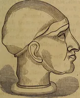 An illustration from Human science, or, Phrenology : its principles, proofs, faculties, organs, temperaments, combinations, conditions, teachings, philosophies, etc., etc. : as applied to health, its values, laws, functions, organs, means, preservation, restoration, etc. : mental philosophy, human and self improvement, civilization, home, country, commerce, rights, duties, ethics, etc. : God, His existence, attributes, laws, worship, natural theology, etc. : immortality, its evidences, conditions, relations to time, rewards, punishments, sin, faith, prayer, etc. : intellect, memory, juvenile and self education, literature, mental discipline, the senses, sciences, arts, avocations, a perfect life, etc., etc., etc. (1873)