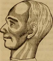 Picture 96 of 165 from Human science, or, Phrenology : its principles, proofs, faculties, organs, temperaments, combinations, conditions, teachings, philosophies, etc., etc. : as applied to health, its values, laws, functions, organs, means, preservation, restoration, etc. : mental philosophy, human and self improvement, civilization, home, country, commerce, rights, duties, ethics, etc. : God, His existence, attributes, laws, worship, natural theology, etc. : immortality, its evidences, conditions, relations to time, rewards, punishments, sin, faith, prayer, etc. : intellect, memory, juvenile and self education, literature, mental discipline, the senses, sciences, arts, avocations, a perfect life, etc., etc., etc. (1873), leaf 733