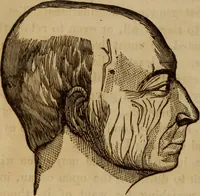 Picture 98 of 165 from Human science, or, Phrenology : its principles, proofs, faculties, organs, temperaments, combinations, conditions, teachings, philosophies, etc., etc. : as applied to health, its values, laws, functions, organs, means, preservation, restoration, etc. : mental philosophy, human and self improvement, civilization, home, country, commerce, rights, duties, ethics, etc. : God, His existence, attributes, laws, worship, natural theology, etc. : immortality, its evidences, conditions, relations to time, rewards, punishments, sin, faith, prayer, etc. : intellect, memory, juvenile and self education, literature, mental discipline, the senses, sciences, arts, avocations, a perfect life, etc., etc., etc. (1873), leaf 749