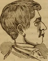 An illustration from Human science, or, Phrenology : its principles, proofs, faculties, organs, temperaments, combinations, conditions, teachings, philosophies, etc., etc. : as applied to health, its values, laws, functions, organs, means, preservation, restoration, etc. : mental philosophy, human and self improvement, civilization, home, country, commerce, rights, duties, ethics, etc. : God, His existence, attributes, laws, worship, natural theology, etc. : immortality, its evidences, conditions, relations to time, rewards, punishments, sin, faith, prayer, etc. : intellect, memory, juvenile and self education, literature, mental discipline, the senses, sciences, arts, avocations, a perfect life, etc., etc., etc. (1873)