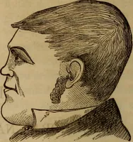 Picture 107 of 165 from Human science, or, Phrenology : its principles, proofs, faculties, organs, temperaments, combinations, conditions, teachings, philosophies, etc., etc. : as applied to health, its values, laws, functions, organs, means, preservation, restoration, etc. : mental philosophy, human and self improvement, civilization, home, country, commerce, rights, duties, ethics, etc. : God, His existence, attributes, laws, worship, natural theology, etc. : immortality, its evidences, conditions, relations to time, rewards, punishments, sin, faith, prayer, etc. : intellect, memory, juvenile and self education, literature, mental discipline, the senses, sciences, arts, avocations, a perfect life, etc., etc., etc. (1873), leaf 793