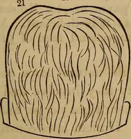 Picture 113 of 165 from Human science, or, Phrenology : its principles, proofs, faculties, organs, temperaments, combinations, conditions, teachings, philosophies, etc., etc. : as applied to health, its values, laws, functions, organs, means, preservation, restoration, etc. : mental philosophy, human and self improvement, civilization, home, country, commerce, rights, duties, ethics, etc. : God, His existence, attributes, laws, worship, natural theology, etc. : immortality, its evidences, conditions, relations to time, rewards, punishments, sin, faith, prayer, etc. : intellect, memory, juvenile and self education, literature, mental discipline, the senses, sciences, arts, avocations, a perfect life, etc., etc., etc. (1873), leaf 926