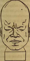 An illustration from Human science, or, Phrenology : its principles, proofs, faculties, organs, temperaments, combinations, conditions, teachings, philosophies, etc., etc. : as applied to health, its values, laws, functions, organs, means, preservation, restoration, etc. : mental philosophy, human and self improvement, civilization, home, country, commerce, rights, duties, ethics, etc. : God, His existence, attributes, laws, worship, natural theology, etc. : immortality, its evidences, conditions, relations to time, rewards, punishments, sin, faith, prayer, etc. : intellect, memory, juvenile and self education, literature, mental discipline, the senses, sciences, arts, avocations, a perfect life, etc., etc., etc. (1873)