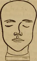 Picture 122 of 165 from Human science, or, Phrenology : its principles, proofs, faculties, organs, temperaments, combinations, conditions, teachings, philosophies, etc., etc. : as applied to health, its values, laws, functions, organs, means, preservation, restoration, etc. : mental philosophy, human and self improvement, civilization, home, country, commerce, rights, duties, ethics, etc. : God, His existence, attributes, laws, worship, natural theology, etc. : immortality, its evidences, conditions, relations to time, rewards, punishments, sin, faith, prayer, etc. : intellect, memory, juvenile and self education, literature, mental discipline, the senses, sciences, arts, avocations, a perfect life, etc., etc., etc. (1873), leaf 985