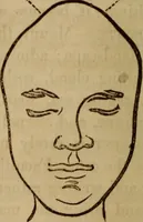 Picture 123 of 165 from Human science, or, Phrenology : its principles, proofs, faculties, organs, temperaments, combinations, conditions, teachings, philosophies, etc., etc. : as applied to health, its values, laws, functions, organs, means, preservation, restoration, etc. : mental philosophy, human and self improvement, civilization, home, country, commerce, rights, duties, ethics, etc. : God, His existence, attributes, laws, worship, natural theology, etc. : immortality, its evidences, conditions, relations to time, rewards, punishments, sin, faith, prayer, etc. : intellect, memory, juvenile and self education, literature, mental discipline, the senses, sciences, arts, avocations, a perfect life, etc., etc., etc. (1873), leaf 985