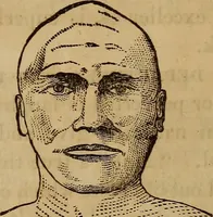 An illustration from Human science, or, Phrenology : its principles, proofs, faculties, organs, temperaments, combinations, conditions, teachings, philosophies, etc., etc. : as applied to health, its values, laws, functions, organs, means, preservation, restoration, etc. : mental philosophy, human and self improvement, civilization, home, country, commerce, rights, duties, ethics, etc. : God, His existence, attributes, laws, worship, natural theology, etc. : immortality, its evidences, conditions, relations to time, rewards, punishments, sin, faith, prayer, etc. : intellect, memory, juvenile and self education, literature, mental discipline, the senses, sciences, arts, avocations, a perfect life, etc., etc., etc. (1873)