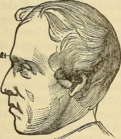 An illustration from Human science or phrenology. Its principles, proofs, faculties, organs, temperaments, combinations, conditions, teachings, philosophies, etc., etc. as applied to health. Its value, laws, functions, organs, means, preservation, restoration, etc. Mental philosophy, human and self improvement, civilization, home country, commerce rights, duties, ethics, etc. God, His existence, attributes, laws, worship, natural theology, etc. Immortality, its evidences, conditions, relations to time, rewards, punishments, sin, faith, prayer, etc. Intellect, memory, juvenile and self education, literature, mental discipline, the senses, sciences, arts, avocations, a perfect life, etc., etc (1880)