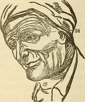 An illustration from Human science or phrenology. Its principles, proofs, faculties, organs, temperaments, combinations, conditions, teachings, philosophies, etc., etc. as applied to health. Its value, laws, functions, organs, means, preservation, restoration, etc. Mental philosophy, human and self improvement, civilization, home country, commerce rights, duties, ethics, etc. God, His existence, attributes, laws, worship, natural theology, etc. Immortality, its evidences, conditions, relations to time, rewards, punishments, sin, faith, prayer, etc. Intellect, memory, juvenile and self education, literature, mental discipline, the senses, sciences, arts, avocations, a perfect life, etc., etc (1880)
