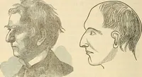 An illustration from Human science or phrenology. Its principles, proofs, faculties, organs, temperaments, combinations, conditions, teachings, philosophies, etc., etc. as applied to health. Its value, laws, functions, organs, means, preservation, restoration, etc. Mental philosophy, human and self improvement, civilization, home country, commerce rights, duties, ethics, etc. God, His existence, attributes, laws, worship, natural theology, etc. Immortality, its evidences, conditions, relations to time, rewards, punishments, sin, faith, prayer, etc. Intellect, memory, juvenile and self education, literature, mental discipline, the senses, sciences, arts, avocations, a perfect life, etc., etc (1880)