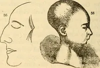 An illustration from Human science or phrenology. Its principles, proofs, faculties, organs, temperaments, combinations, conditions, teachings, philosophies, etc., etc. as applied to health. Its value, laws, functions, organs, means, preservation, restoration, etc. Mental philosophy, human and self improvement, civilization, home country, commerce rights, duties, ethics, etc. God, His existence, attributes, laws, worship, natural theology, etc. Immortality, its evidences, conditions, relations to time, rewards, punishments, sin, faith, prayer, etc. Intellect, memory, juvenile and self education, literature, mental discipline, the senses, sciences, arts, avocations, a perfect life, etc., etc (1880)