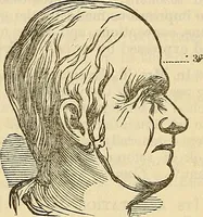 An illustration from Human science or phrenology. Its principles, proofs, faculties, organs, temperaments, combinations, conditions, teachings, philosophies, etc., etc. as applied to health. Its value, laws, functions, organs, means, preservation, restoration, etc. Mental philosophy, human and self improvement, civilization, home country, commerce rights, duties, ethics, etc. God, His existence, attributes, laws, worship, natural theology, etc. Immortality, its evidences, conditions, relations to time, rewards, punishments, sin, faith, prayer, etc. Intellect, memory, juvenile and self education, literature, mental discipline, the senses, sciences, arts, avocations, a perfect life, etc., etc (1880)