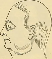 An illustration from Human science or phrenology. Its principles, proofs, faculties, organs, temperaments, combinations, conditions, teachings, philosophies, etc., etc. as applied to health. Its value, laws, functions, organs, means, preservation, restoration, etc. Mental philosophy, human and self improvement, civilization, home country, commerce rights, duties, ethics, etc. God, His existence, attributes, laws, worship, natural theology, etc. Immortality, its evidences, conditions, relations to time, rewards, punishments, sin, faith, prayer, etc. Intellect, memory, juvenile and self education, literature, mental discipline, the senses, sciences, arts, avocations, a perfect life, etc., etc (1880)